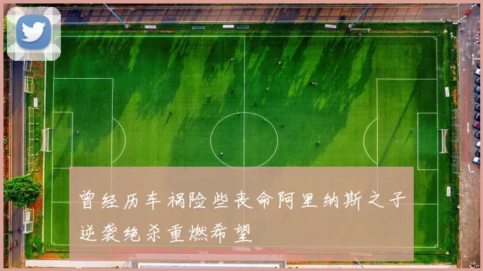 曾经历车祸险些丧命阿里纳斯之子逆袭绝杀重燃希望