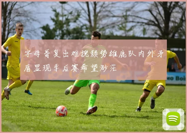 字母哥复出难挽颓势雄鹿队内外矛盾显现季后赛希望渺茫